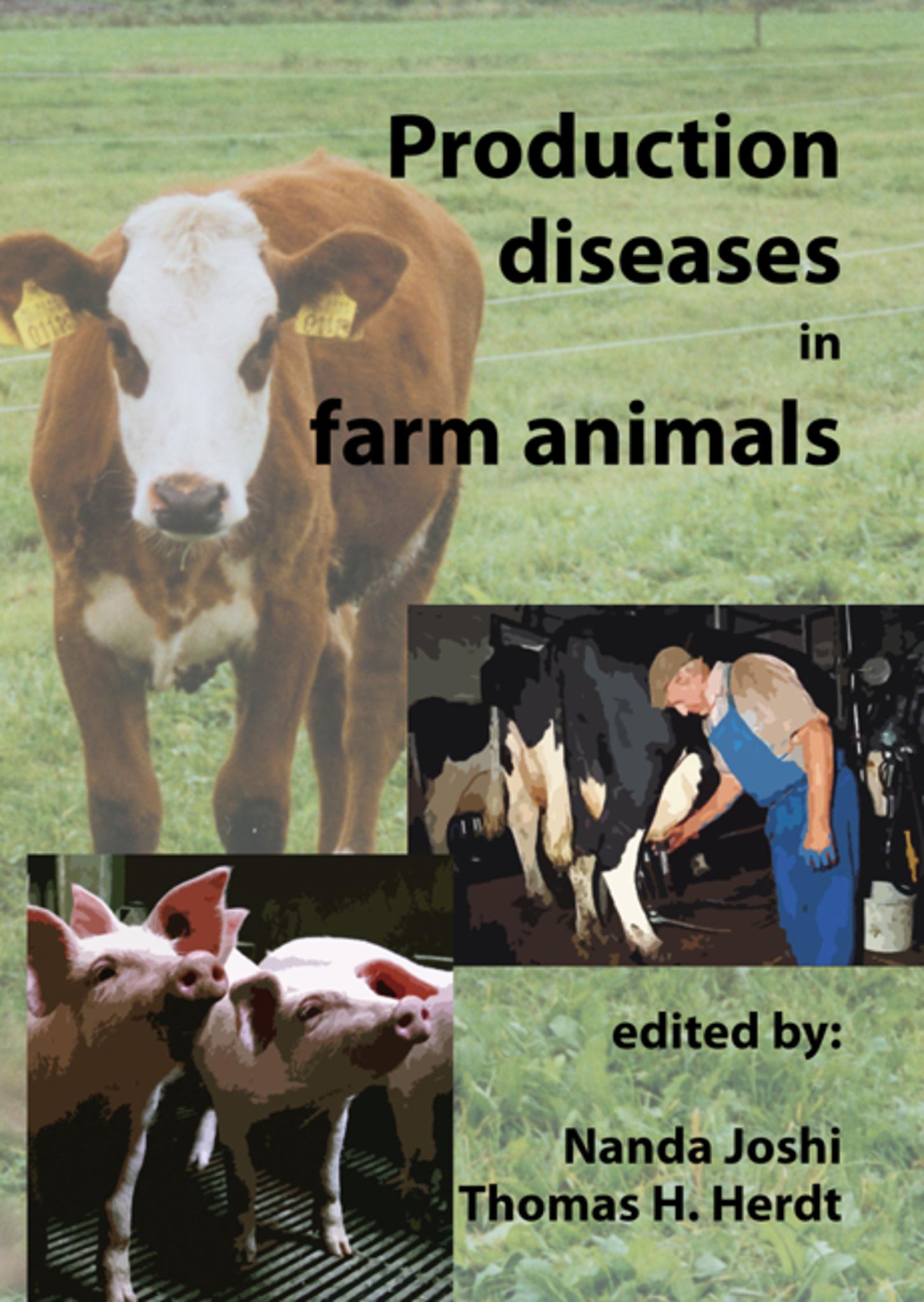 Production diseases in farm animals