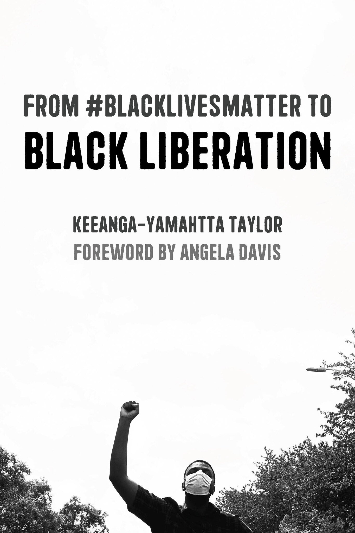 Cover image for From #BlackLivesMatter to Black Liberation (Expanded Second Edition) ISBN 9781642597578