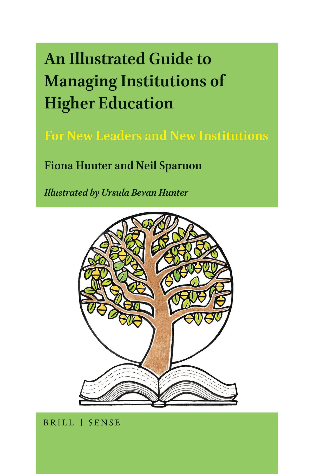 Cover image for An Illustrated Guide to Managing Institutions of Higher Education ISBN 9789004447042