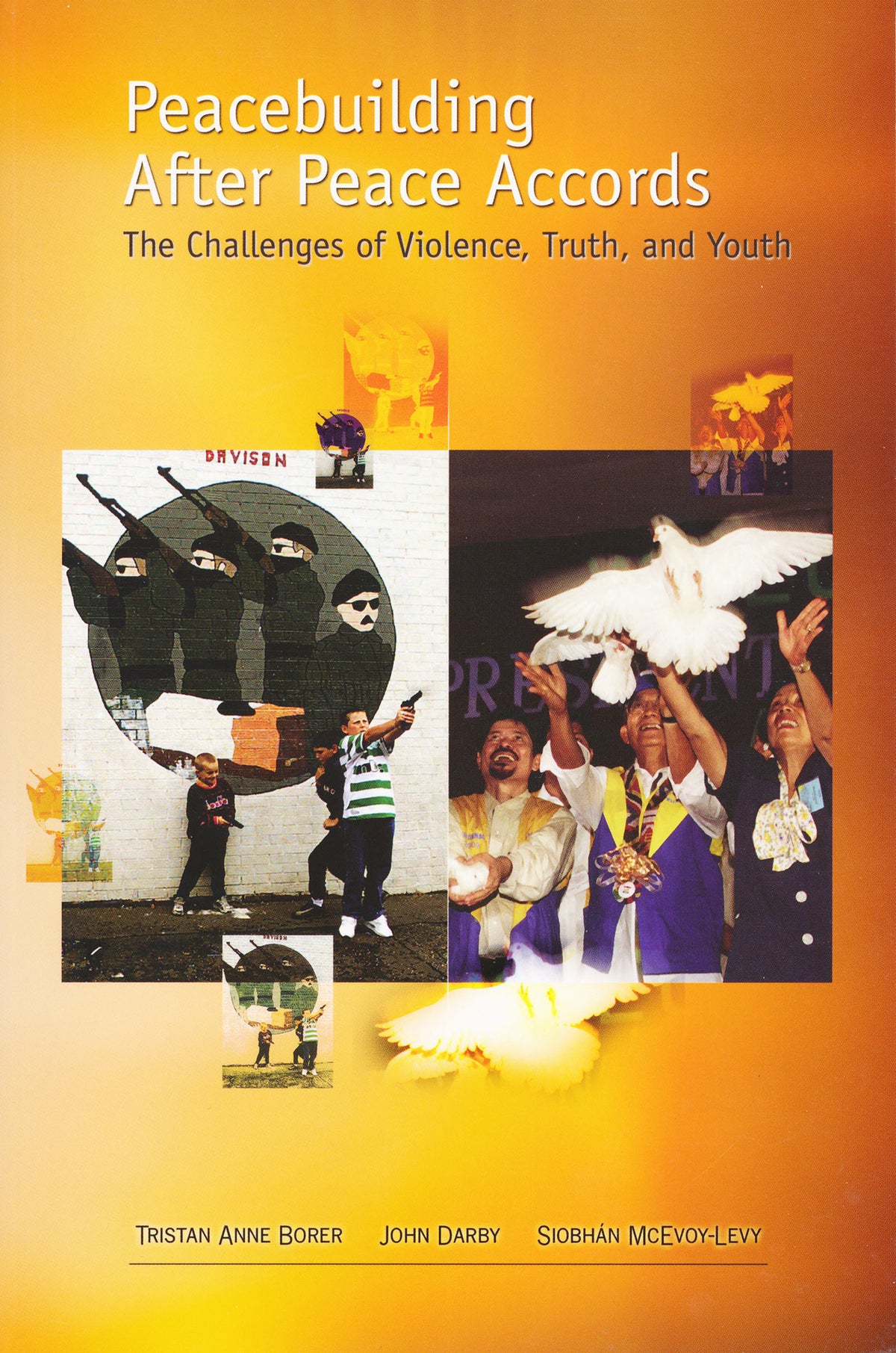 Cover image for Peacebuilding After Peace Accords ISBN 9780268022044