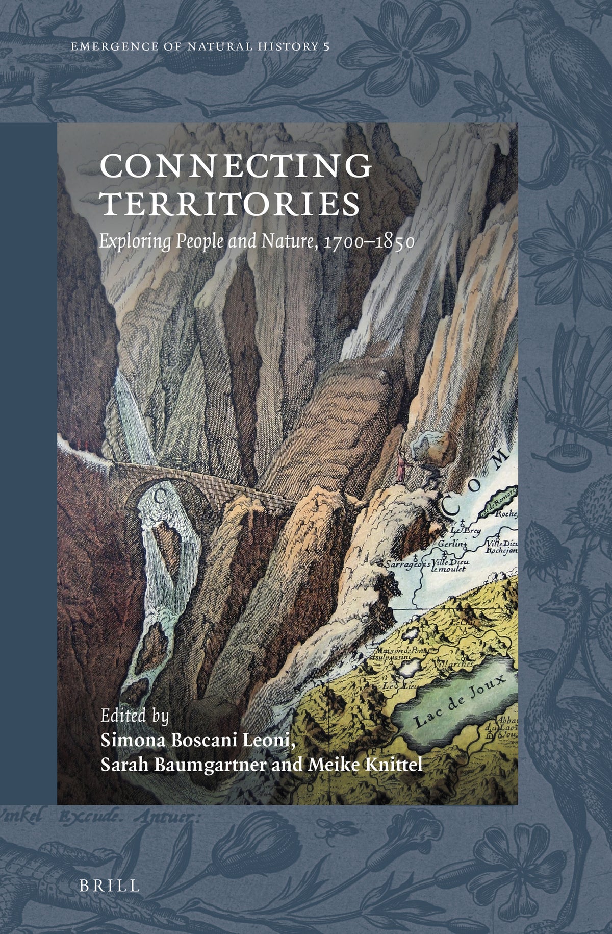 Cover image for Connecting Territories ISBN 9789004412460