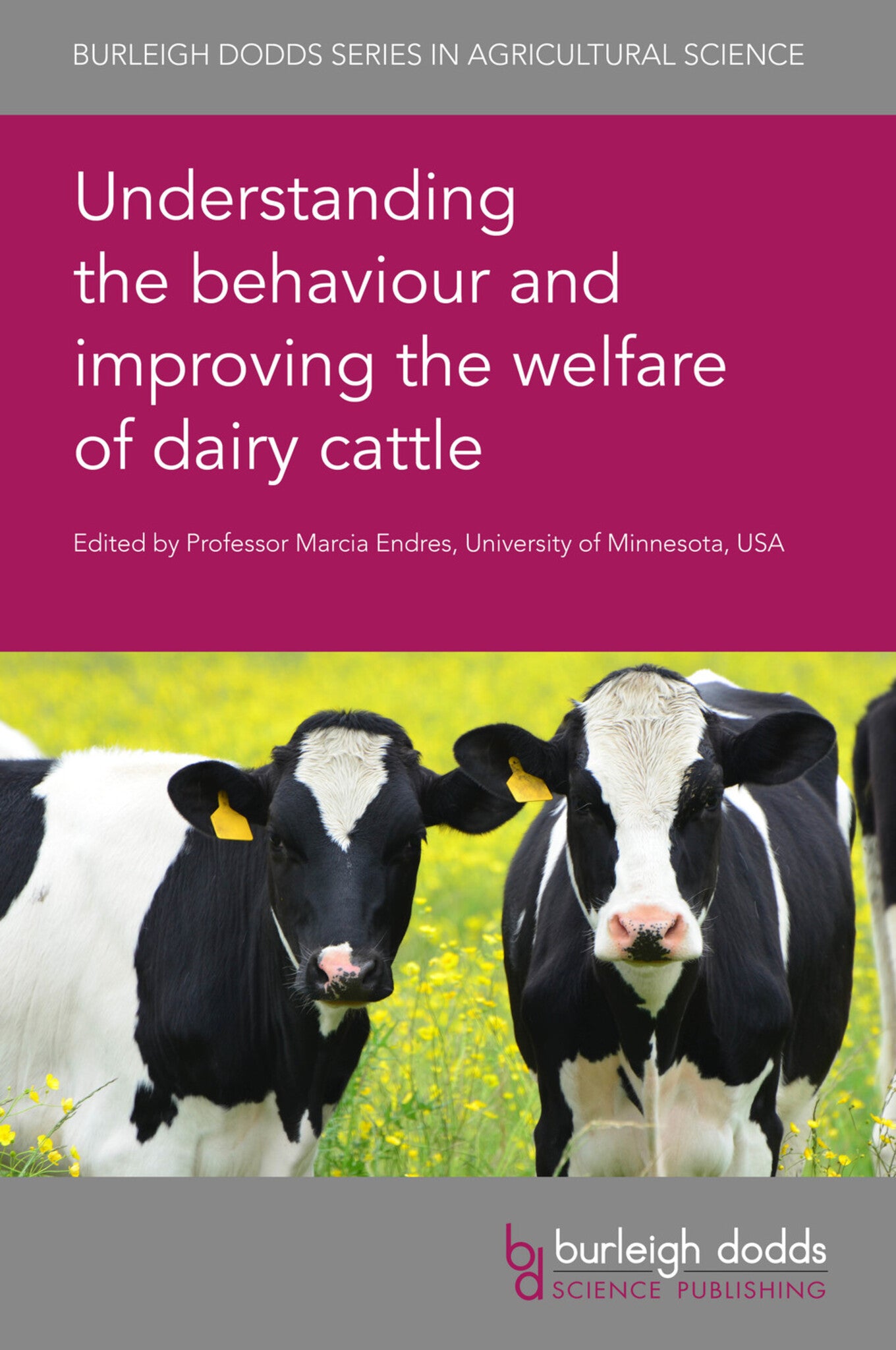 Cover image for Understanding the behaviour and improving the welfare of dairy cattle ISBN 9781786764591