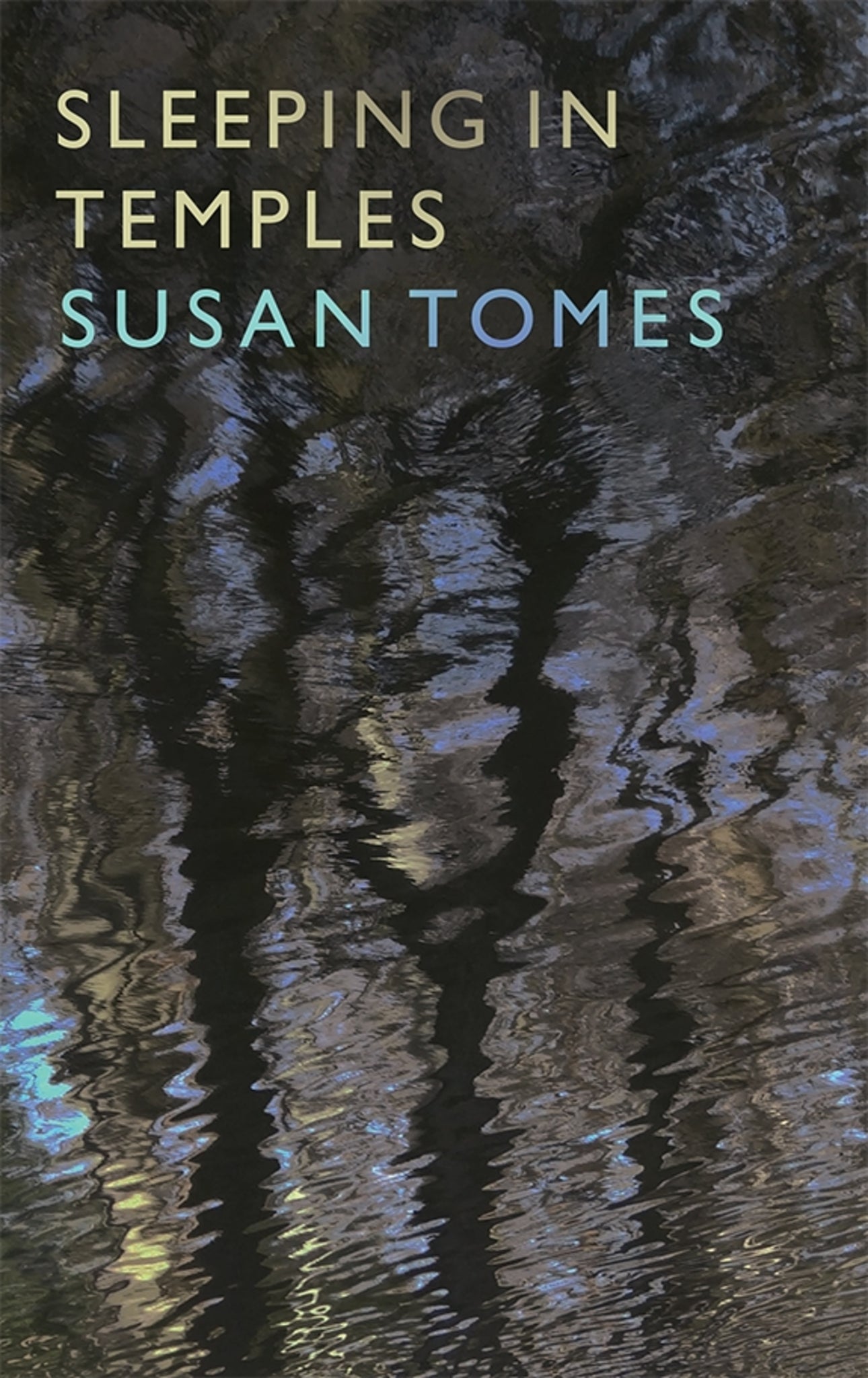 Cover image for Sleeping in Temples ISBN 9781843839750