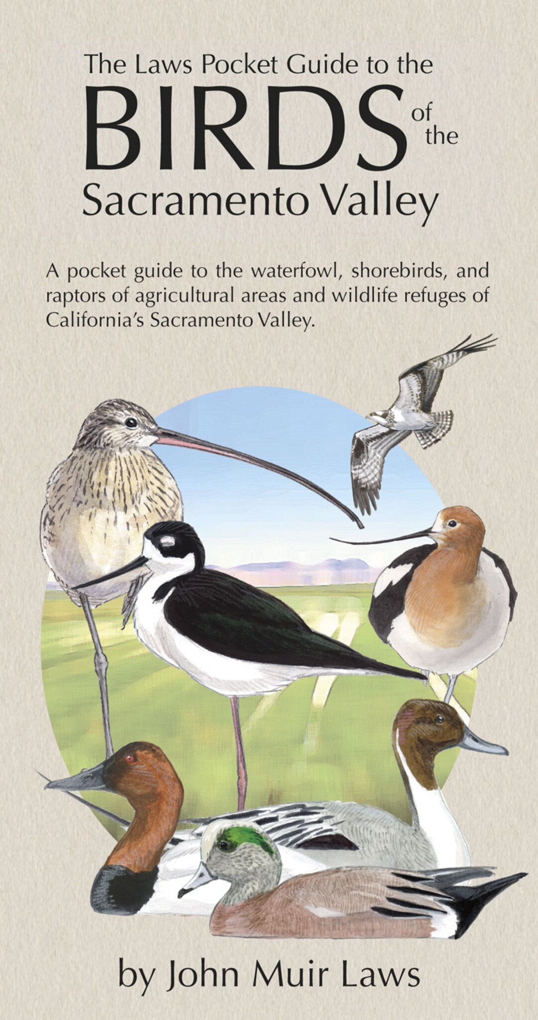 Cover image for The Laws Pocket Guide to the Birds of the Sacramento Valley ISBN 9781597142670