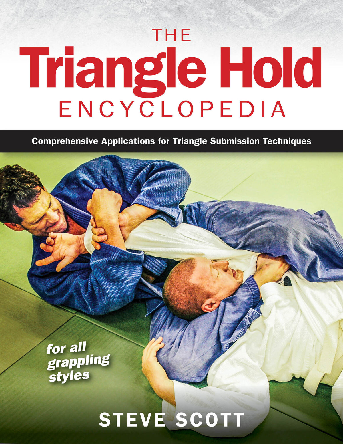 Cover image for The Triangle Hold Encyclopedia ISBN 9781594396496