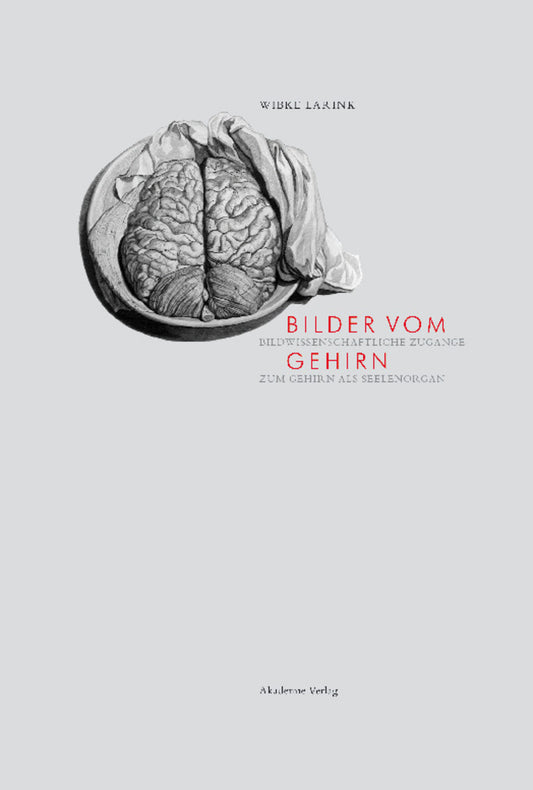 Bilder vom Gehirn