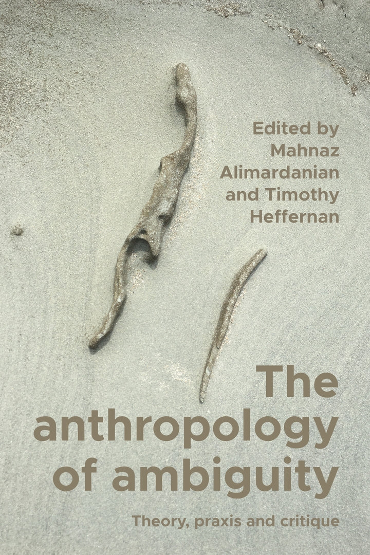 Cover image for The anthropology of ambiguity ISBN 9781526173843