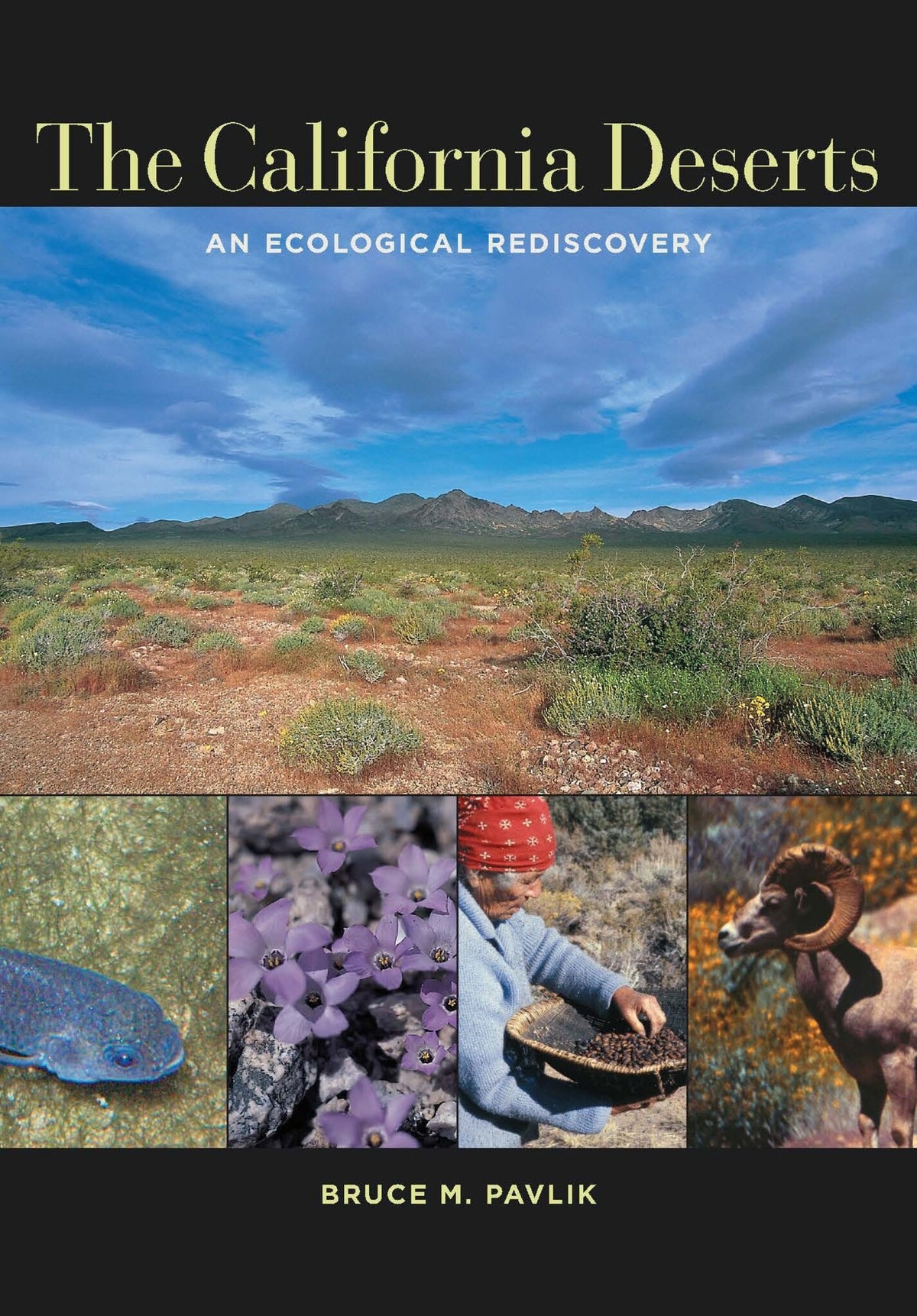 Cover image for The California Deserts ISBN 9780520940789