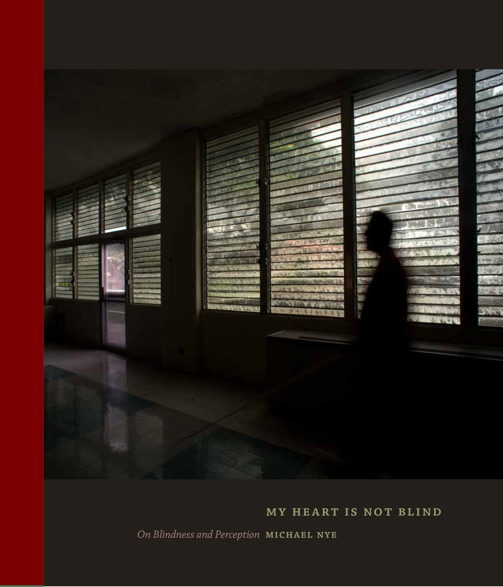 Cover image for My Heart Is Not Blind ISBN 9781595348746