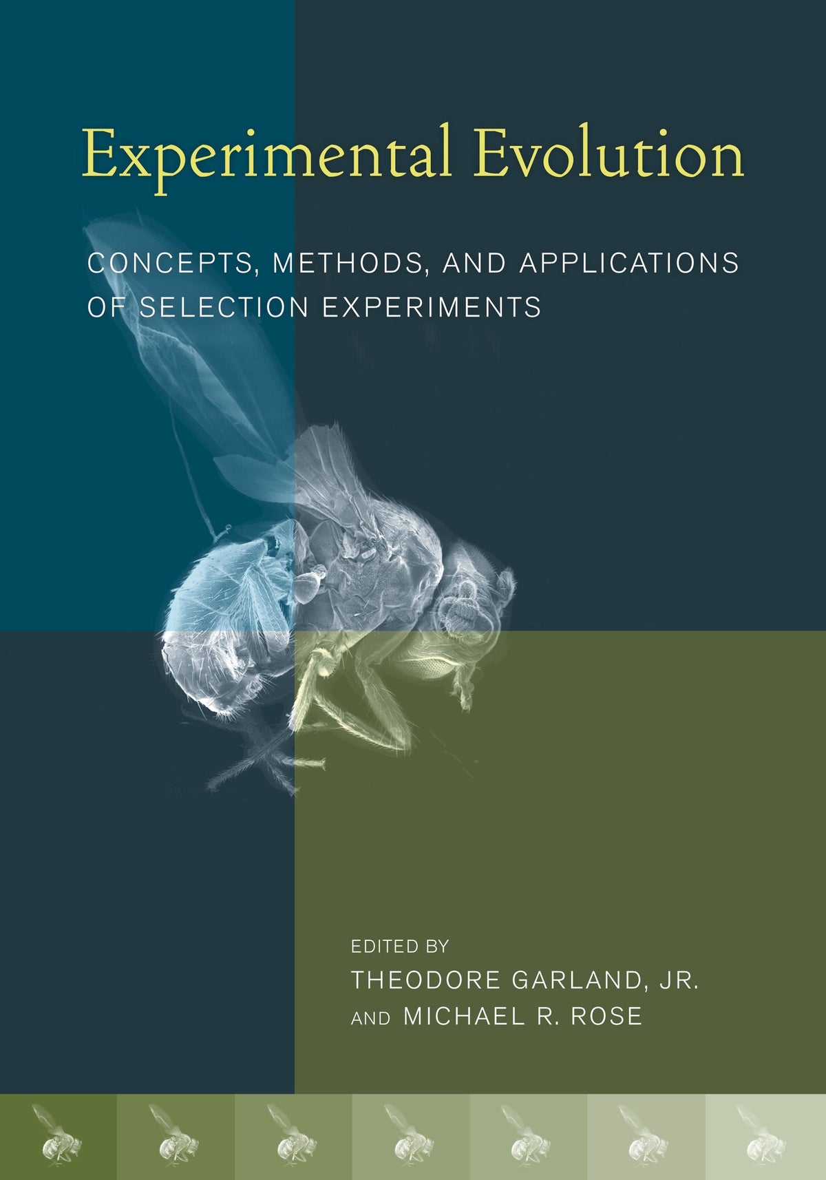 Cover image for Experimental Evolution ISBN 9780520261808