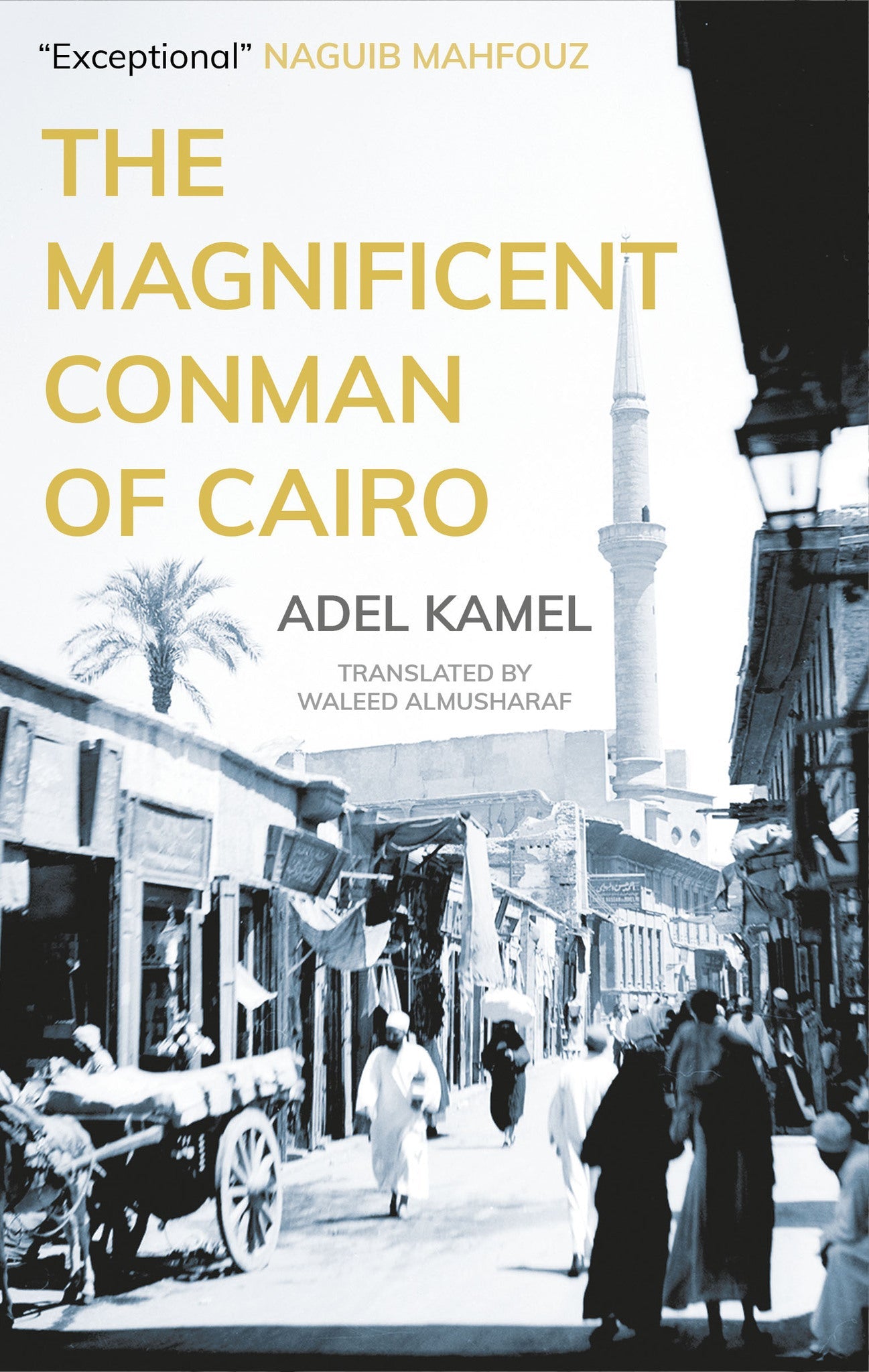 Cover image for The Magnificent Conman of Cairo: ISBN 9781617979798