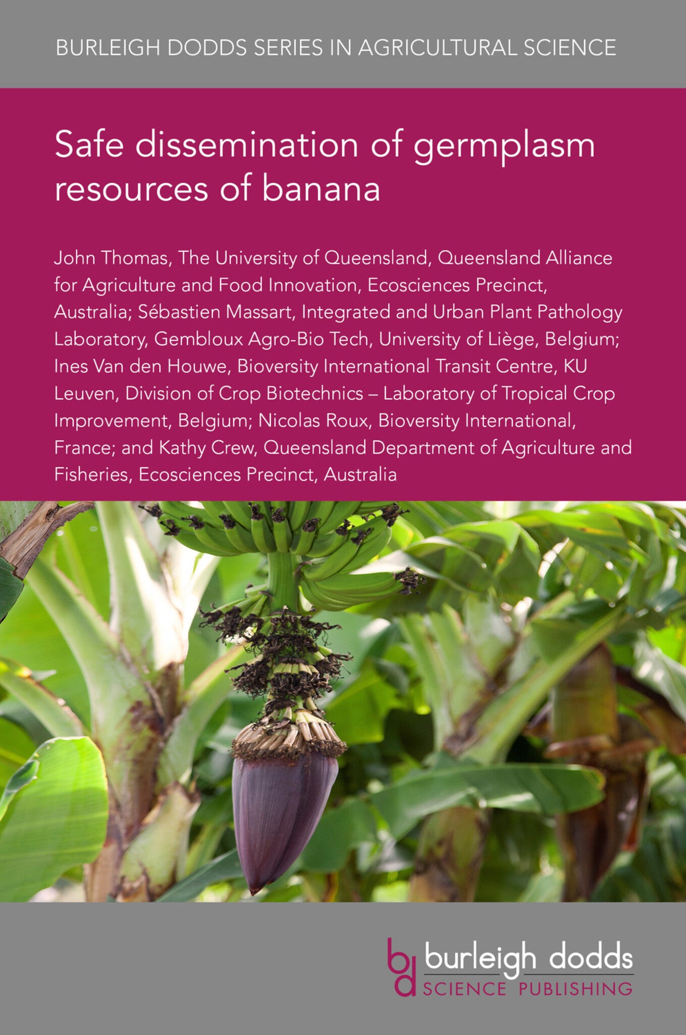 Cover image for Safe dissemination of germplasm resources of banana ISBN 9781786769442