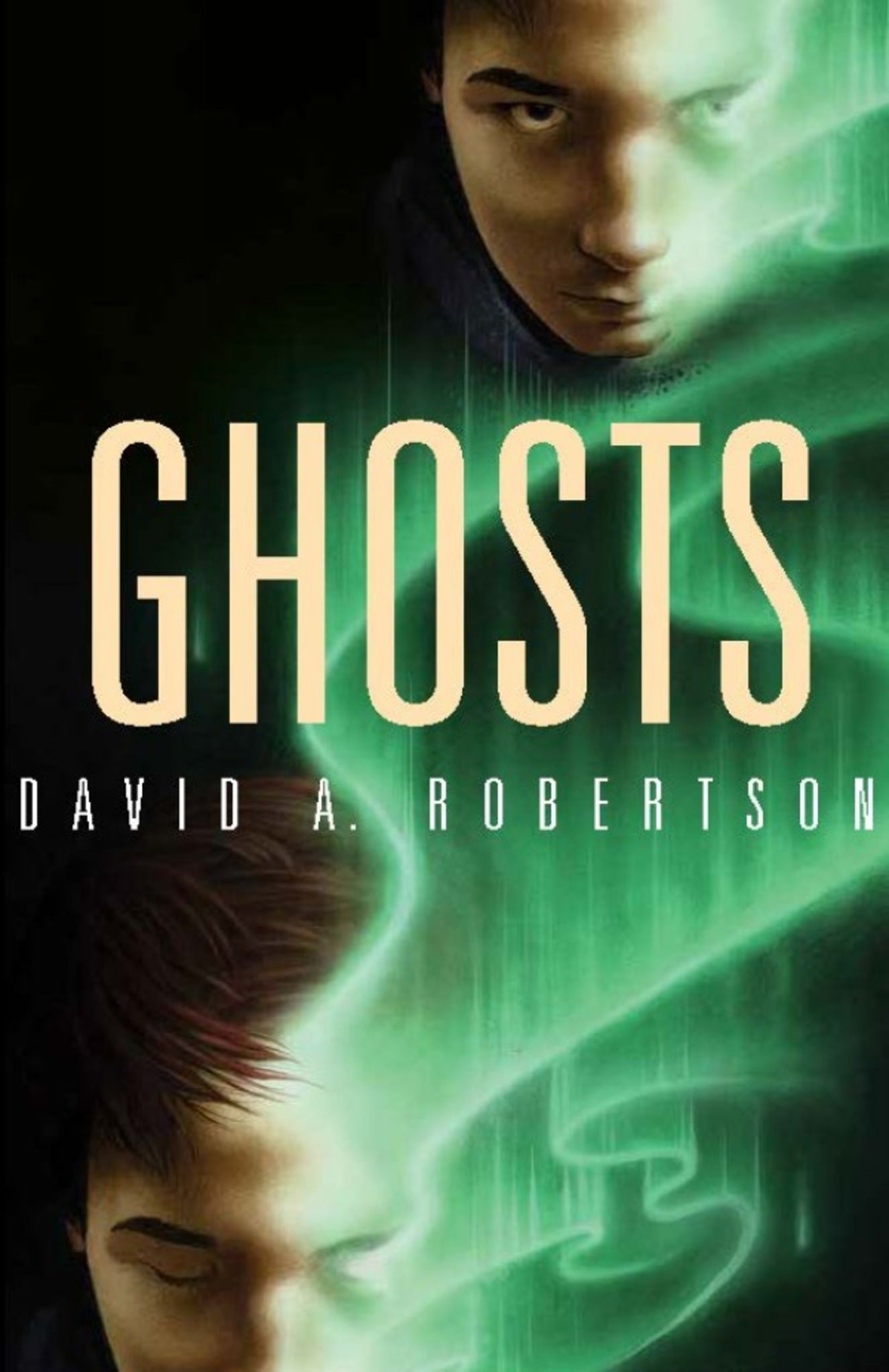 Cover image for Ghosts ISBN 9781553797623