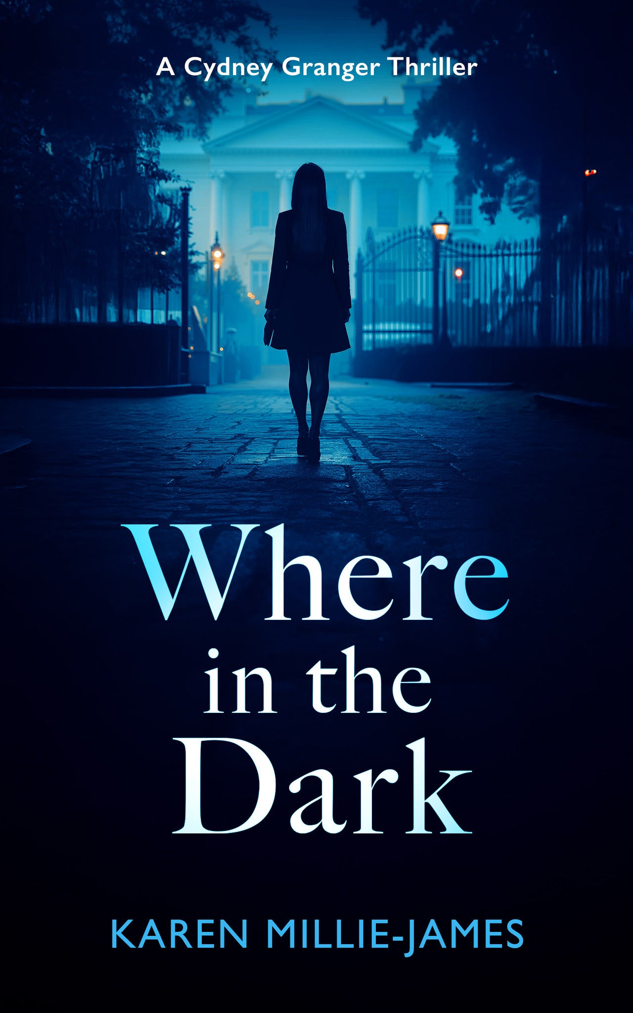 Cover image for Where in the Dark ISBN 9781036713454