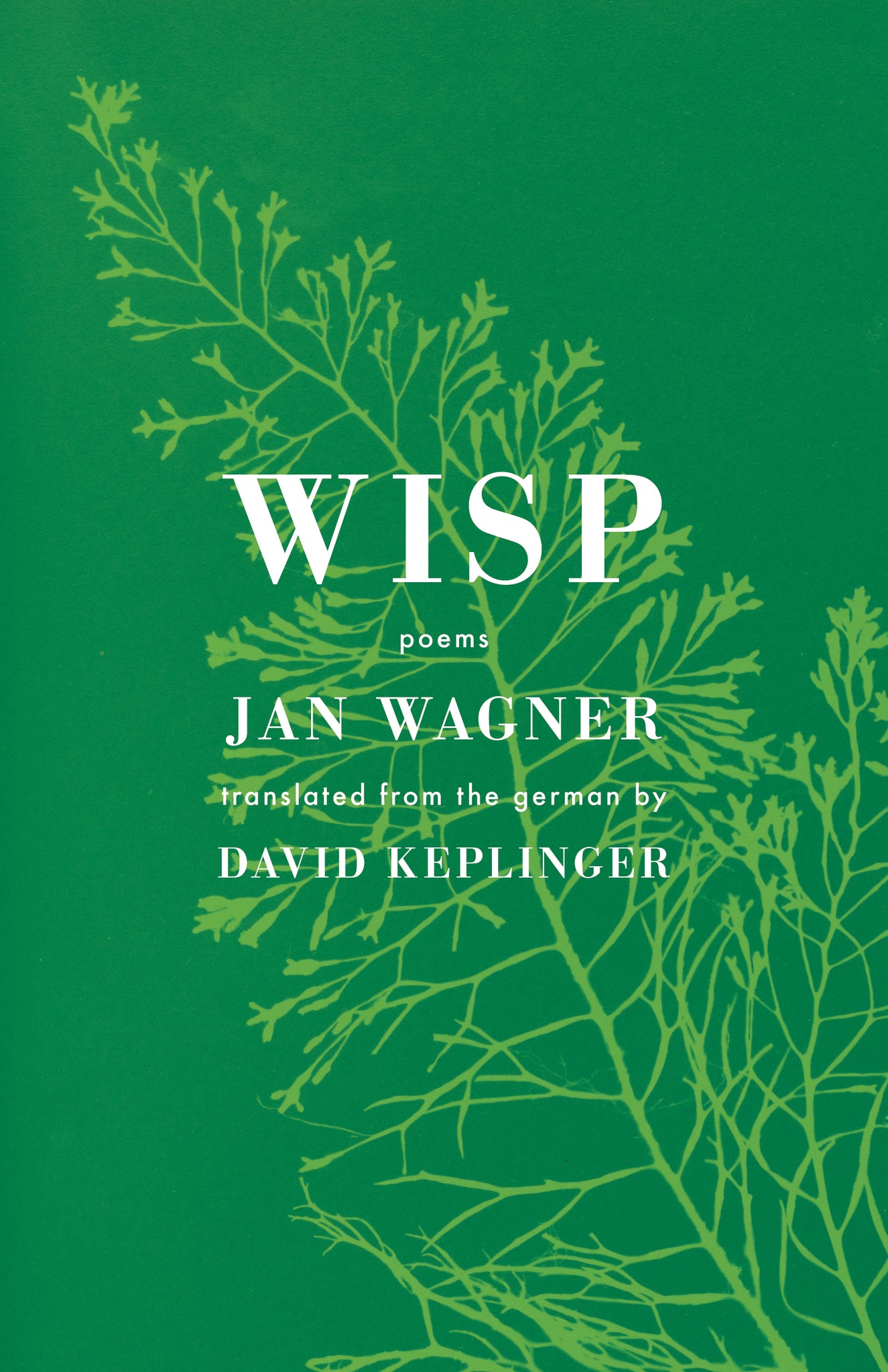 Cover image for Wisp ISBN 9781639551705
