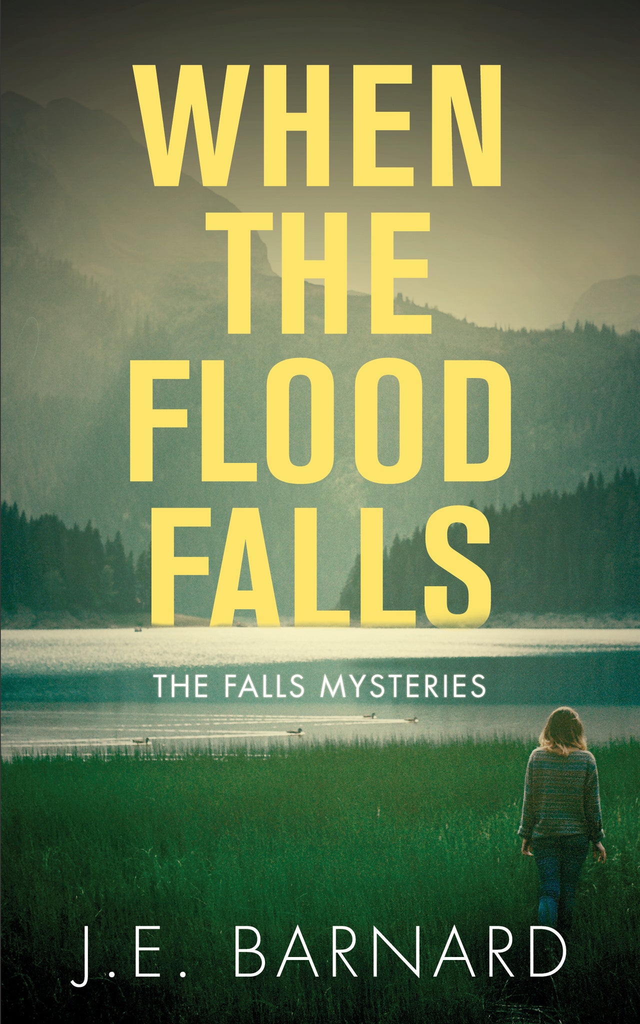 Cover image for When the Flood Falls ISBN 9781459741218