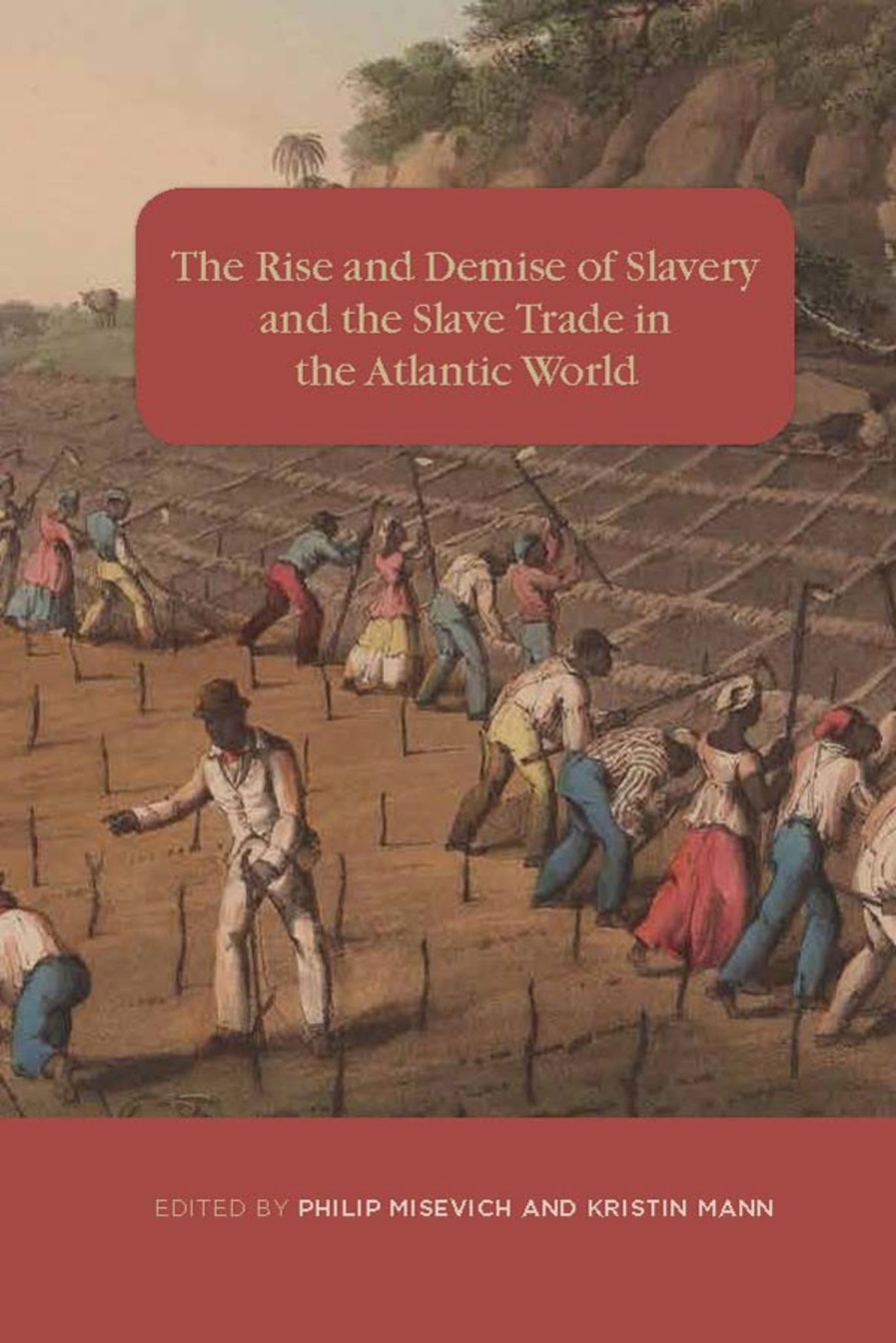 Cover image for The Rise and Demise of Slavery and the Slave Trade in the Atlantic World ISBN 9781580465601