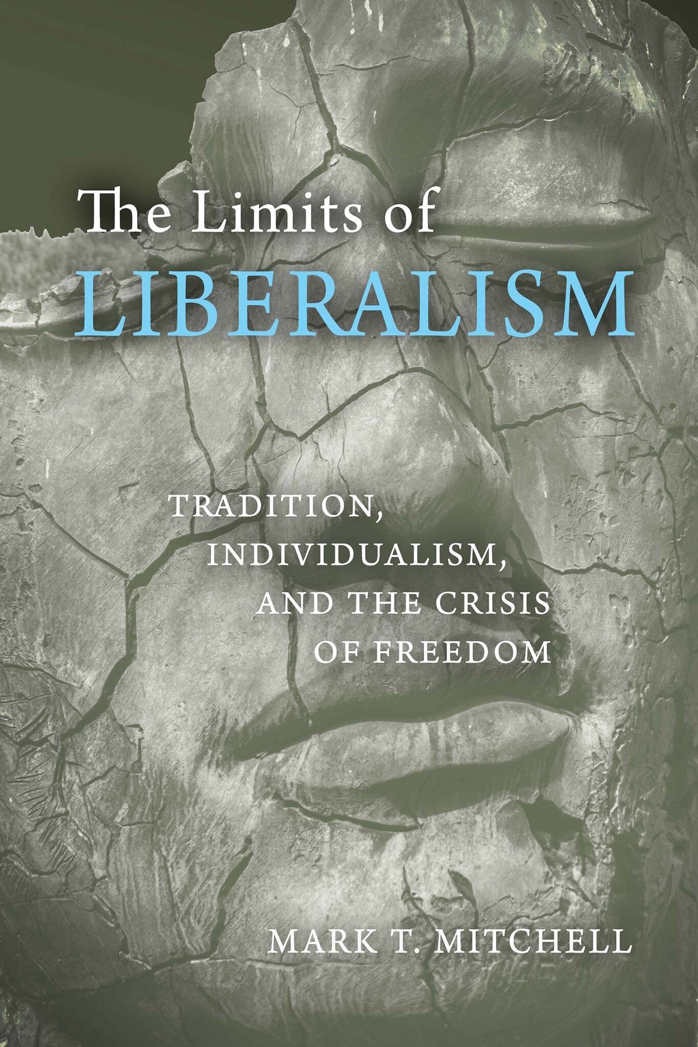 Cover image for The Limits of Liberalism ISBN 9780268104290
