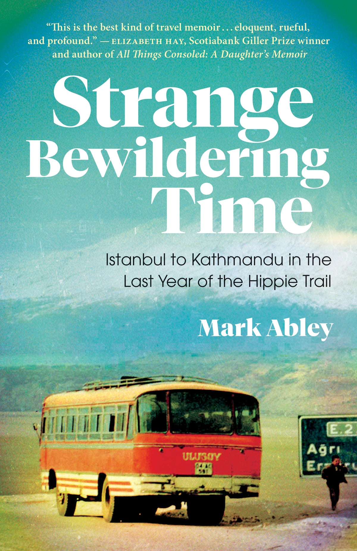 Cover image for Strange Bewildering Time ISBN 9781487009663