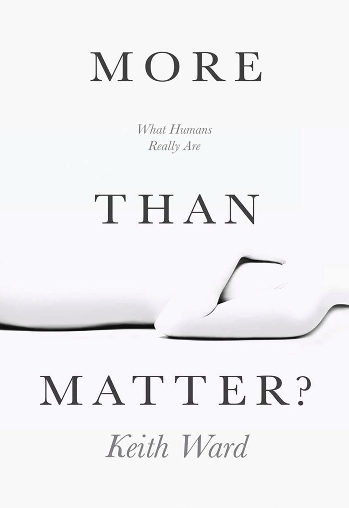 Cover image for More than Matter? ISBN 9780745958583