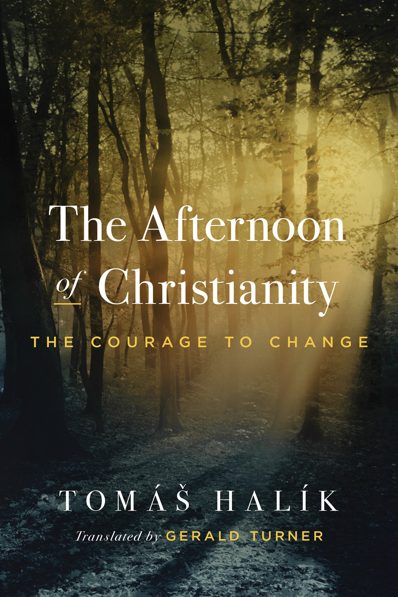 Cover image for The Afternoon of Christianity ISBN 9780268207472