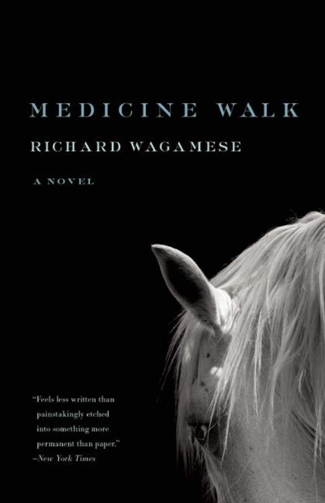 Cover image for Medicine Walk ISBN 9781571311160