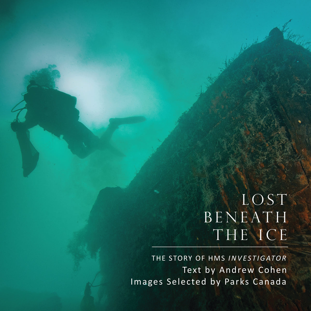 Cover image for Lost Beneath the Ice ISBN 9781459719491
