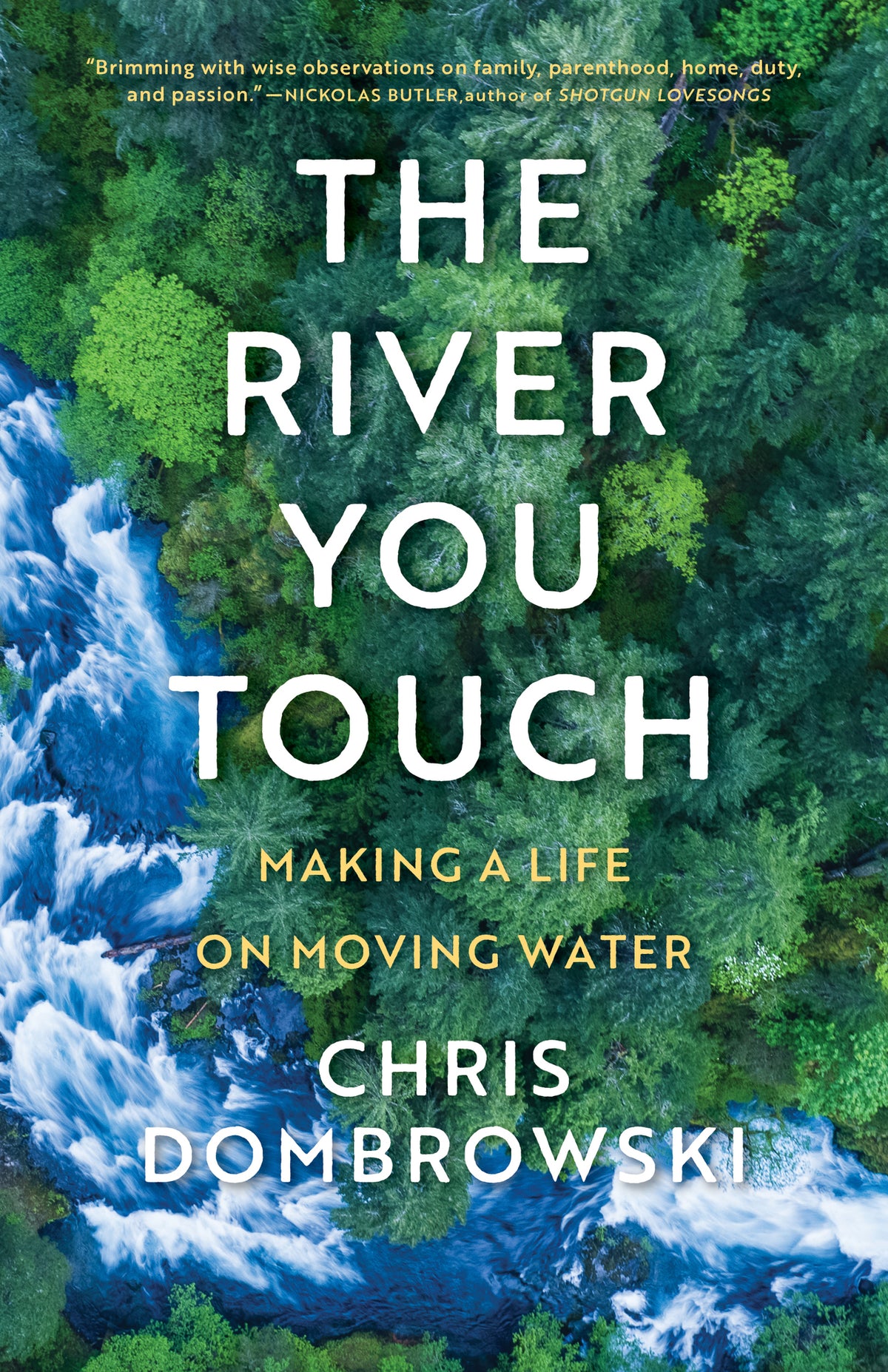 Cover image for The River You Touch ISBN 9781639550630