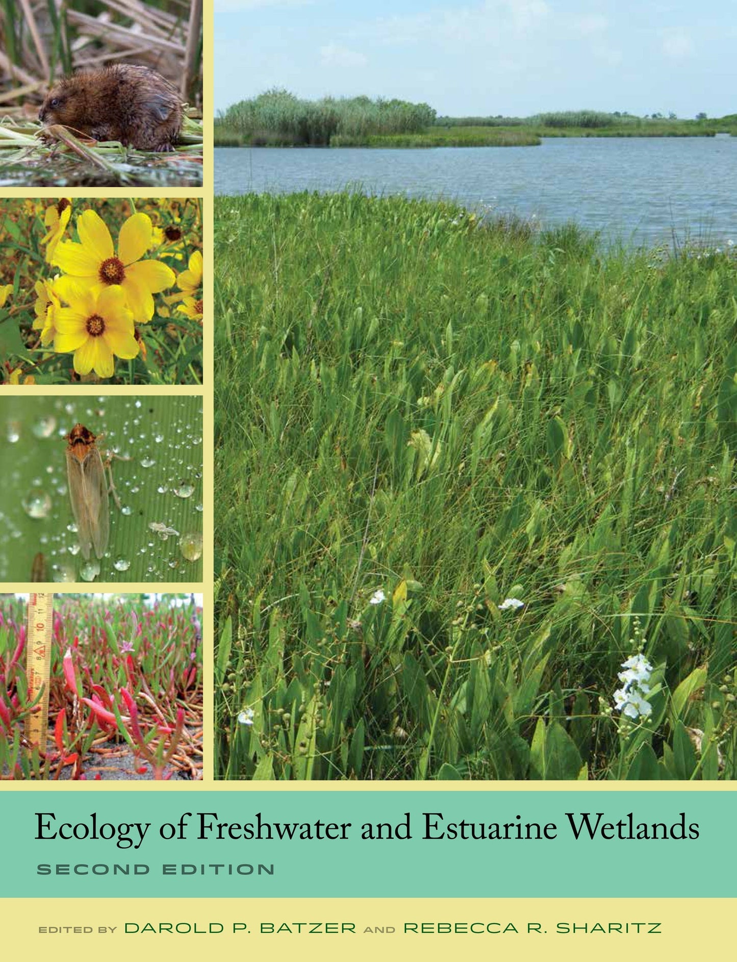 Cover image for Ecology of Freshwater and Estuarine Wetlands ISBN 9780520959118
