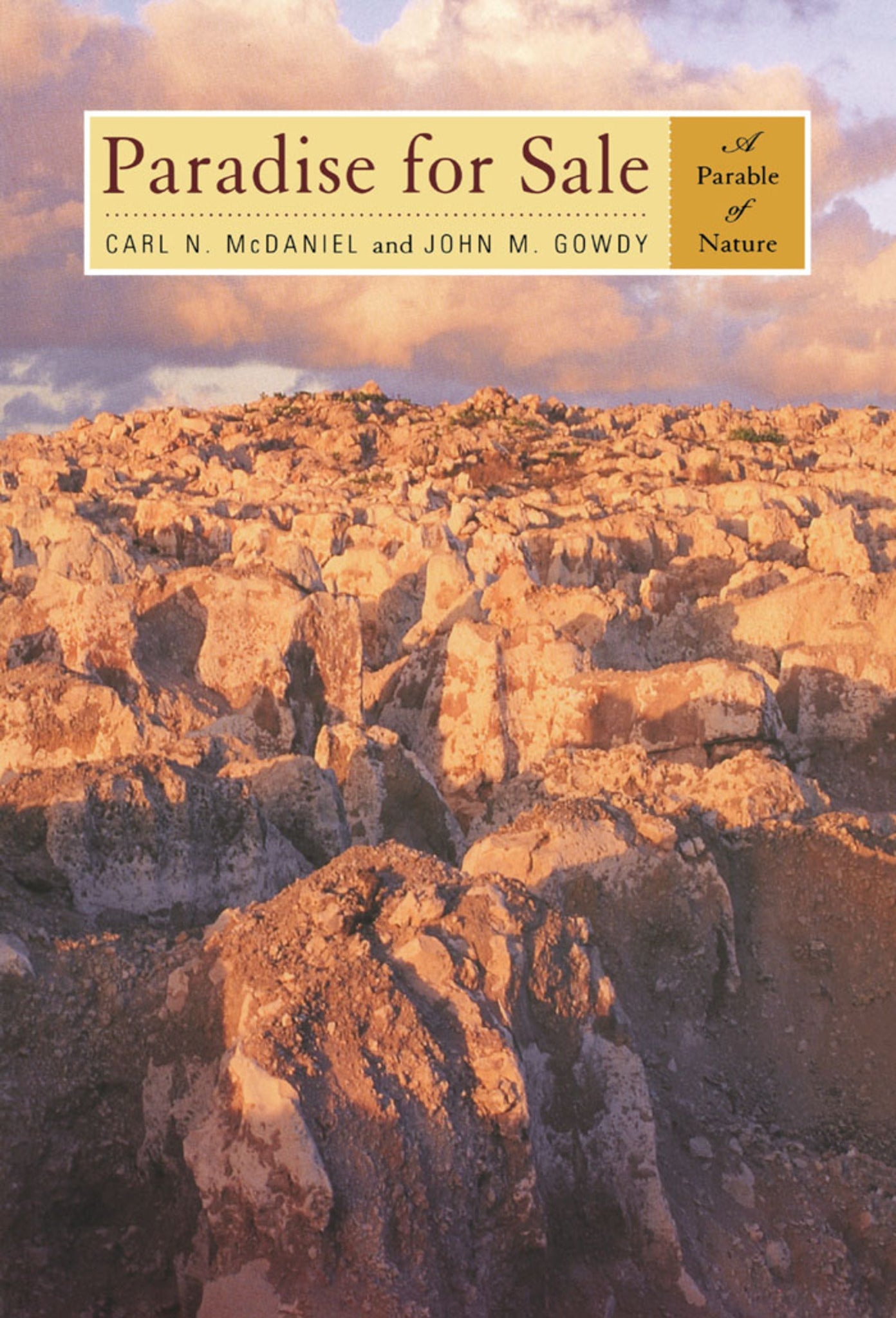 Cover image for Paradise for Sale ISBN 9780520222298