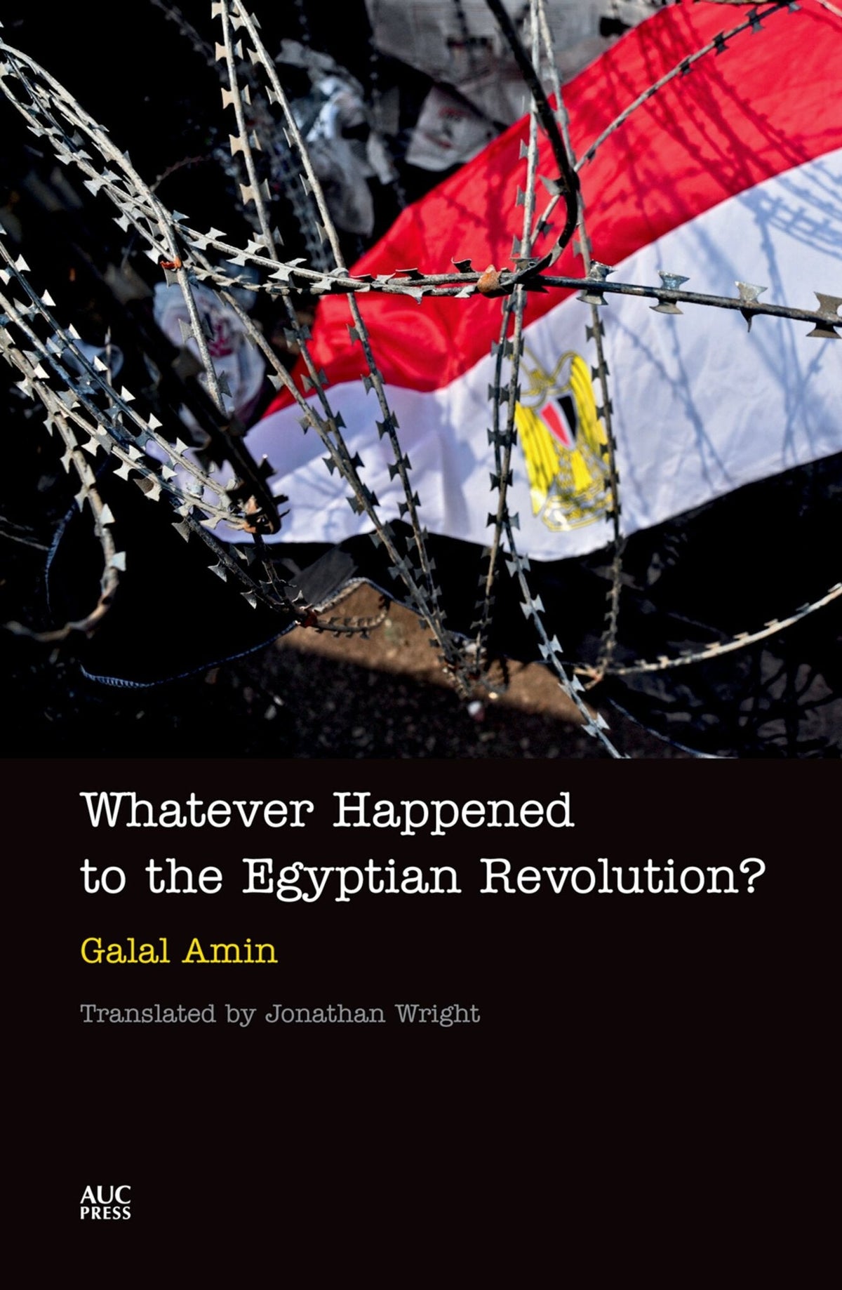 Cover image for Whatever Happened to the Egyptian Revolution?: ISBN 9781617973529