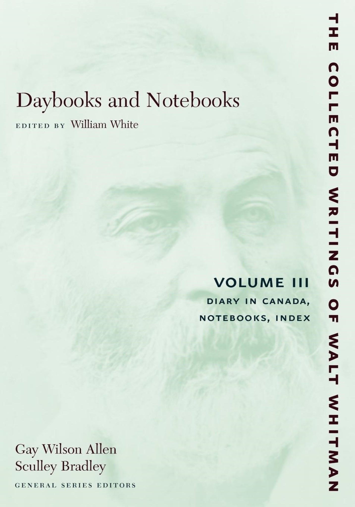 Cover image for Daybooks and Notebooks: Volume III ISBN 9780814794333