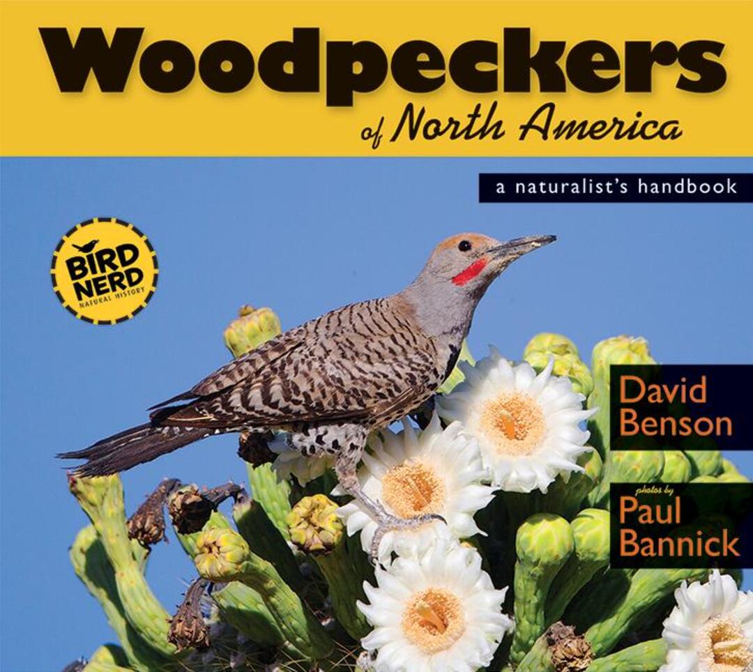 Cover image for Woodpeckers of North America ISBN 9780976031376