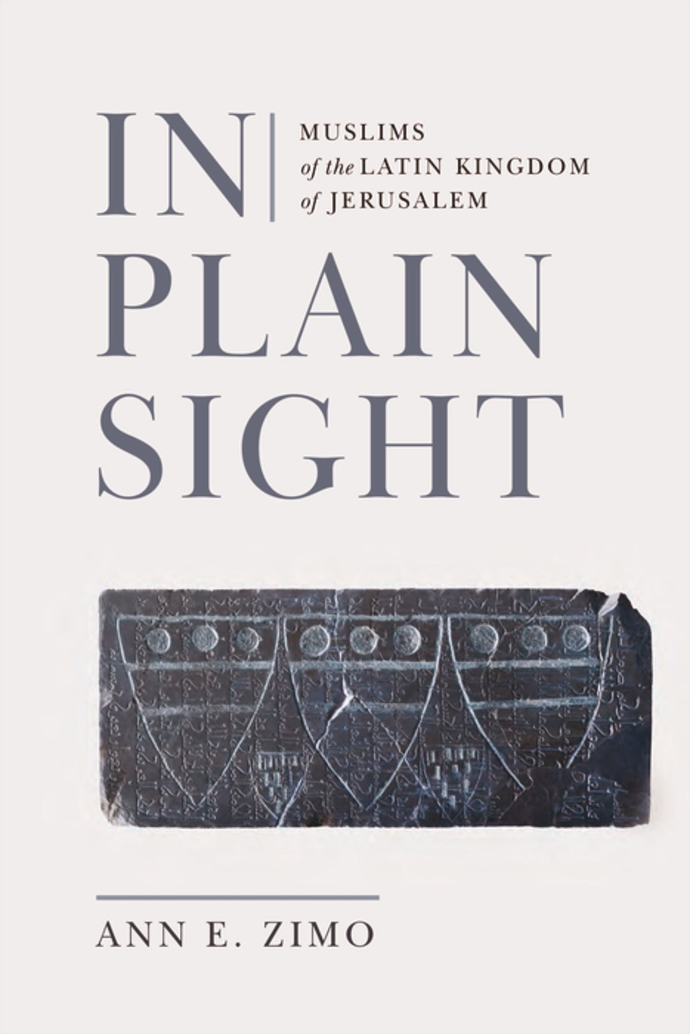In Plain Sight