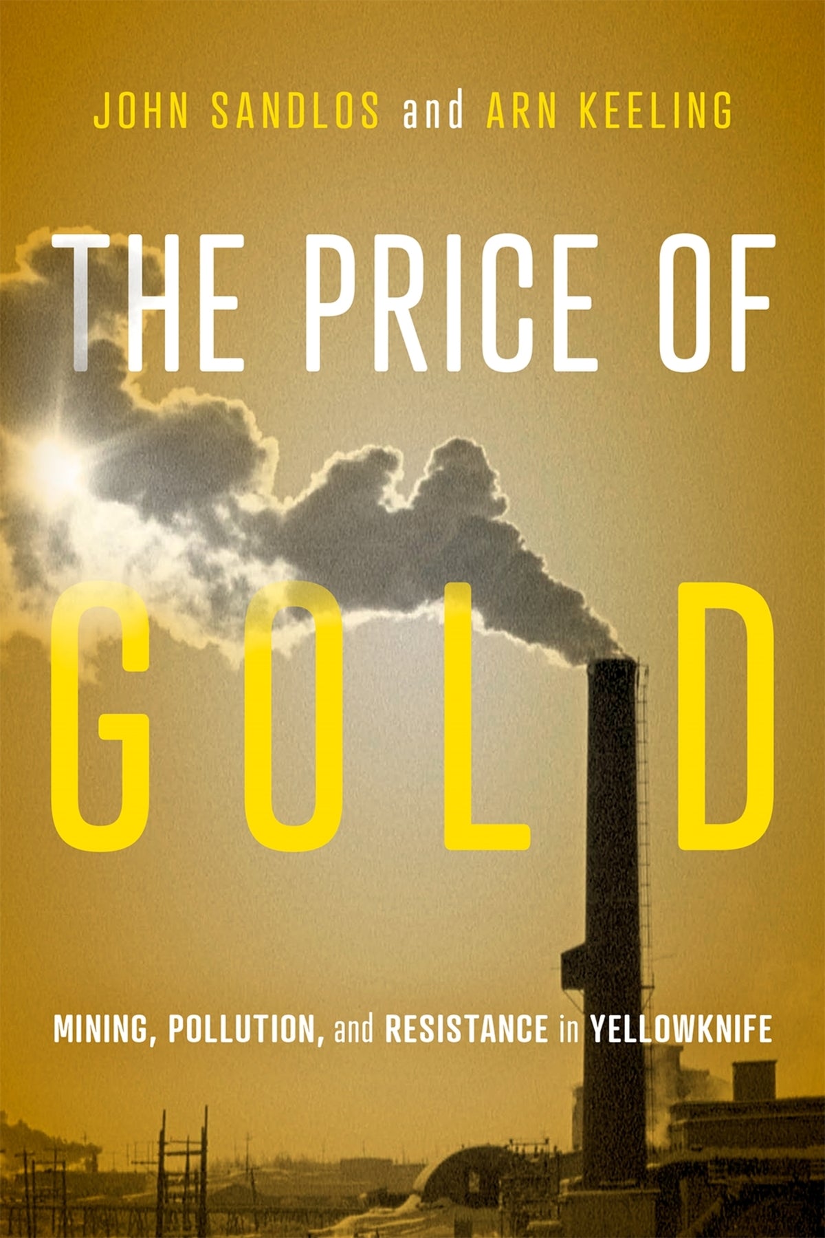 Cover image for The Price of Gold ISBN 9780228026198