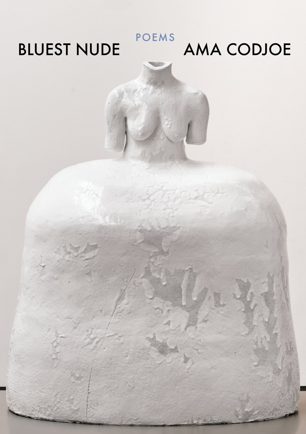 Cover image for Bluest Nude ISBN 9781571315427