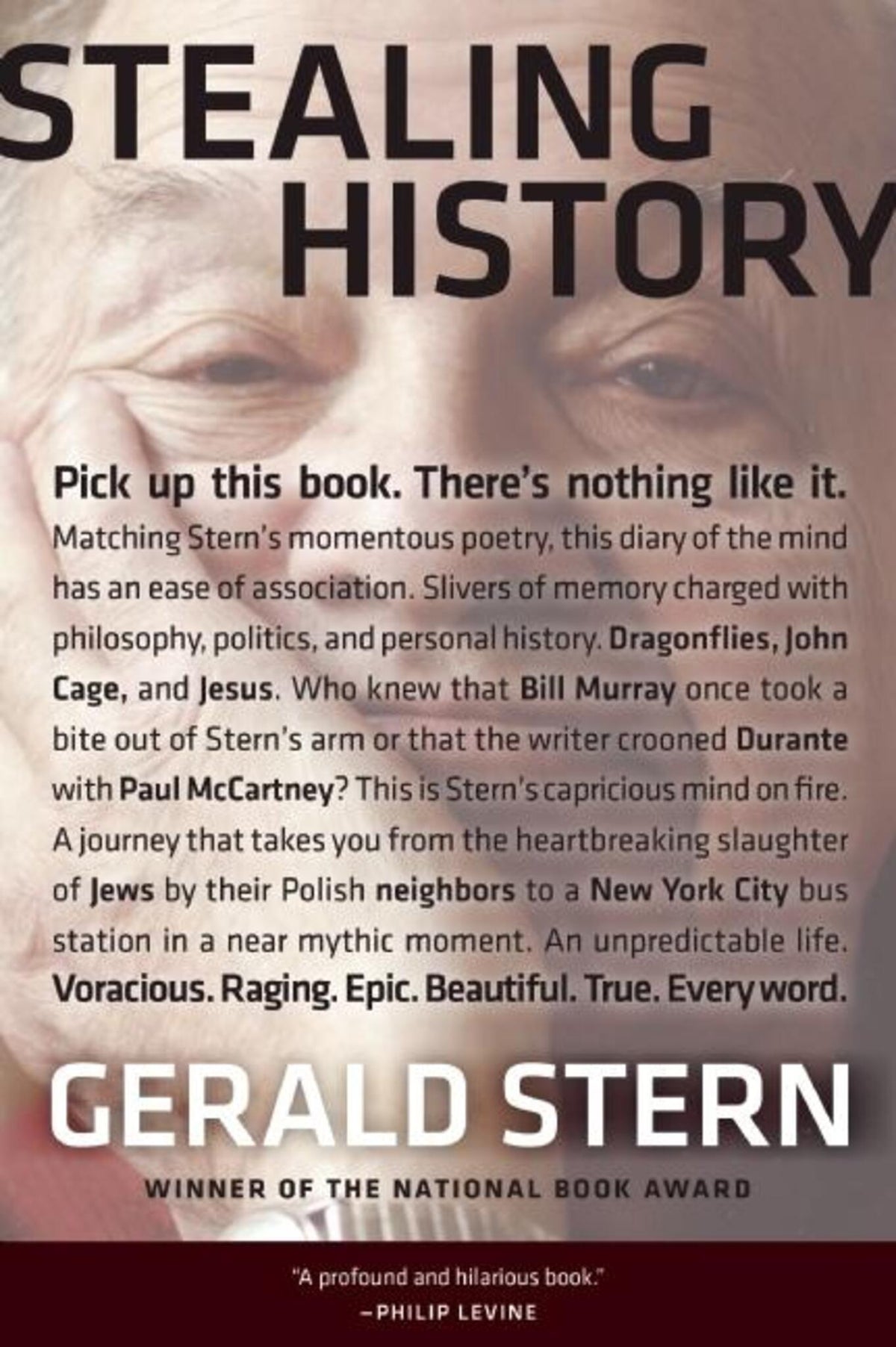 Cover image for Stealing History ISBN 9781595341419