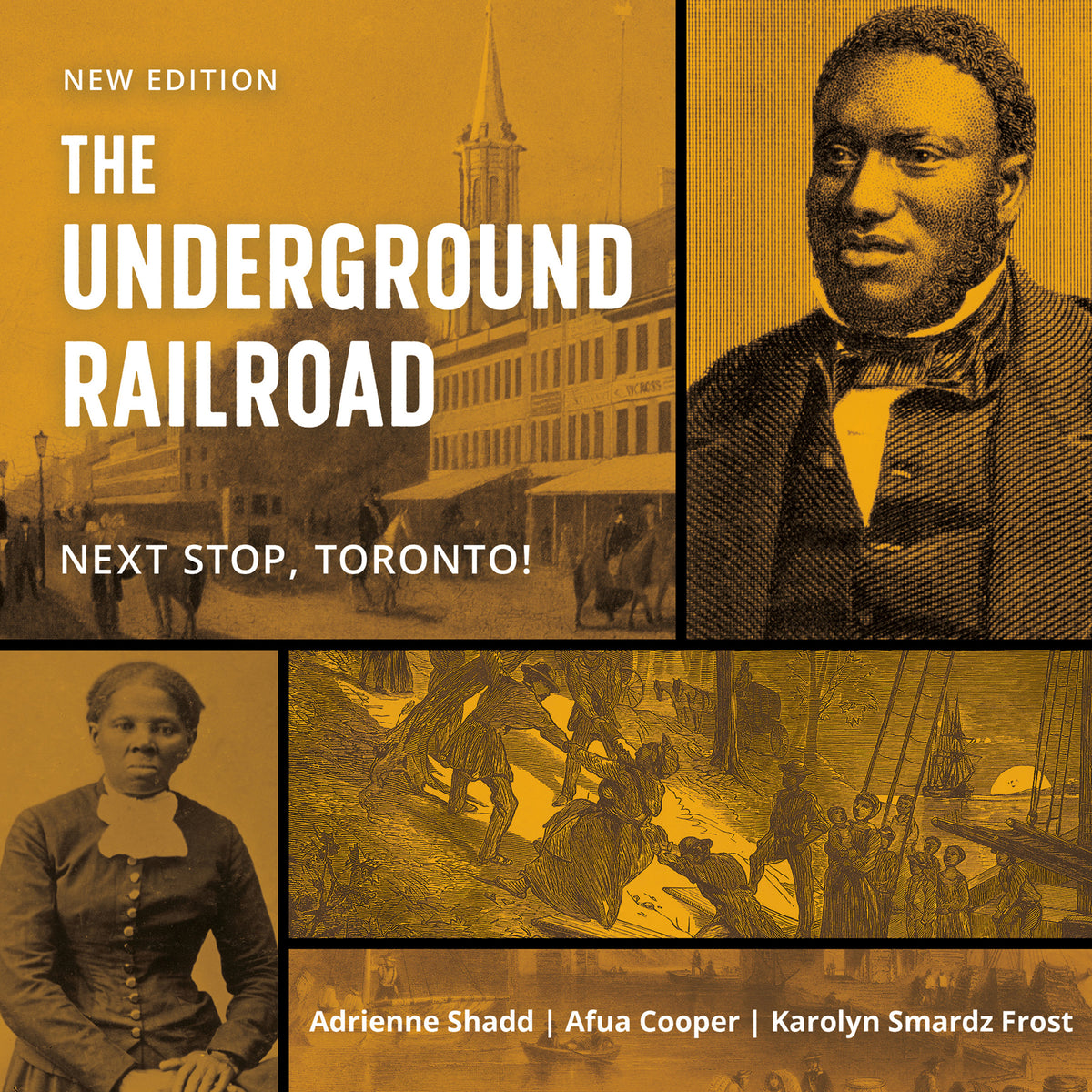 Cover image for The Underground Railroad ISBN 9781459748965