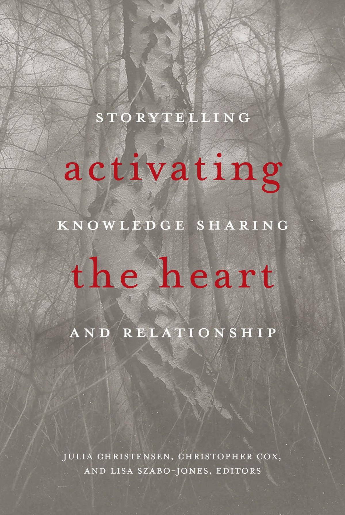 Cover image for Activating the Heart ISBN 9781771122191
