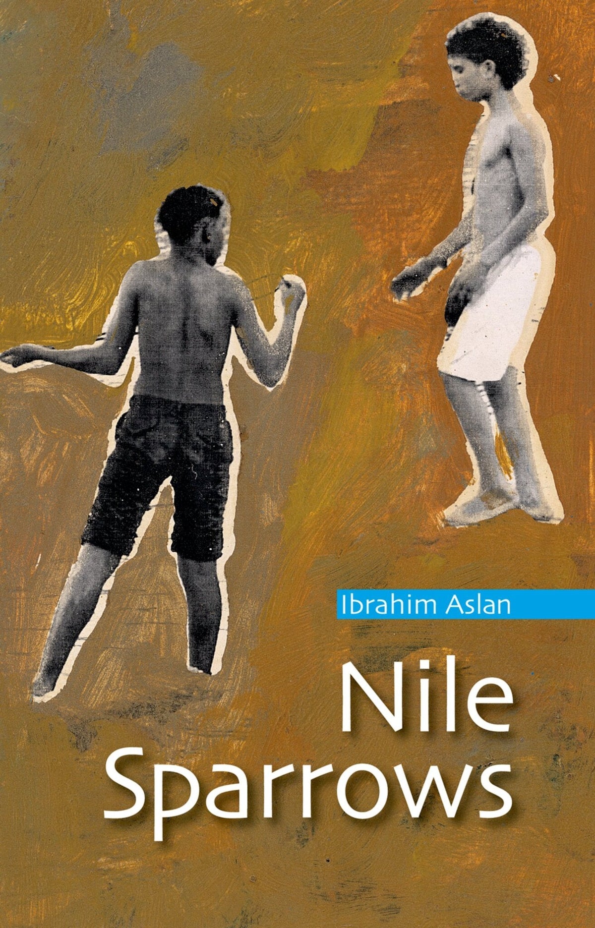 Cover image for Nile Sparrows: ISBN 9781617971549