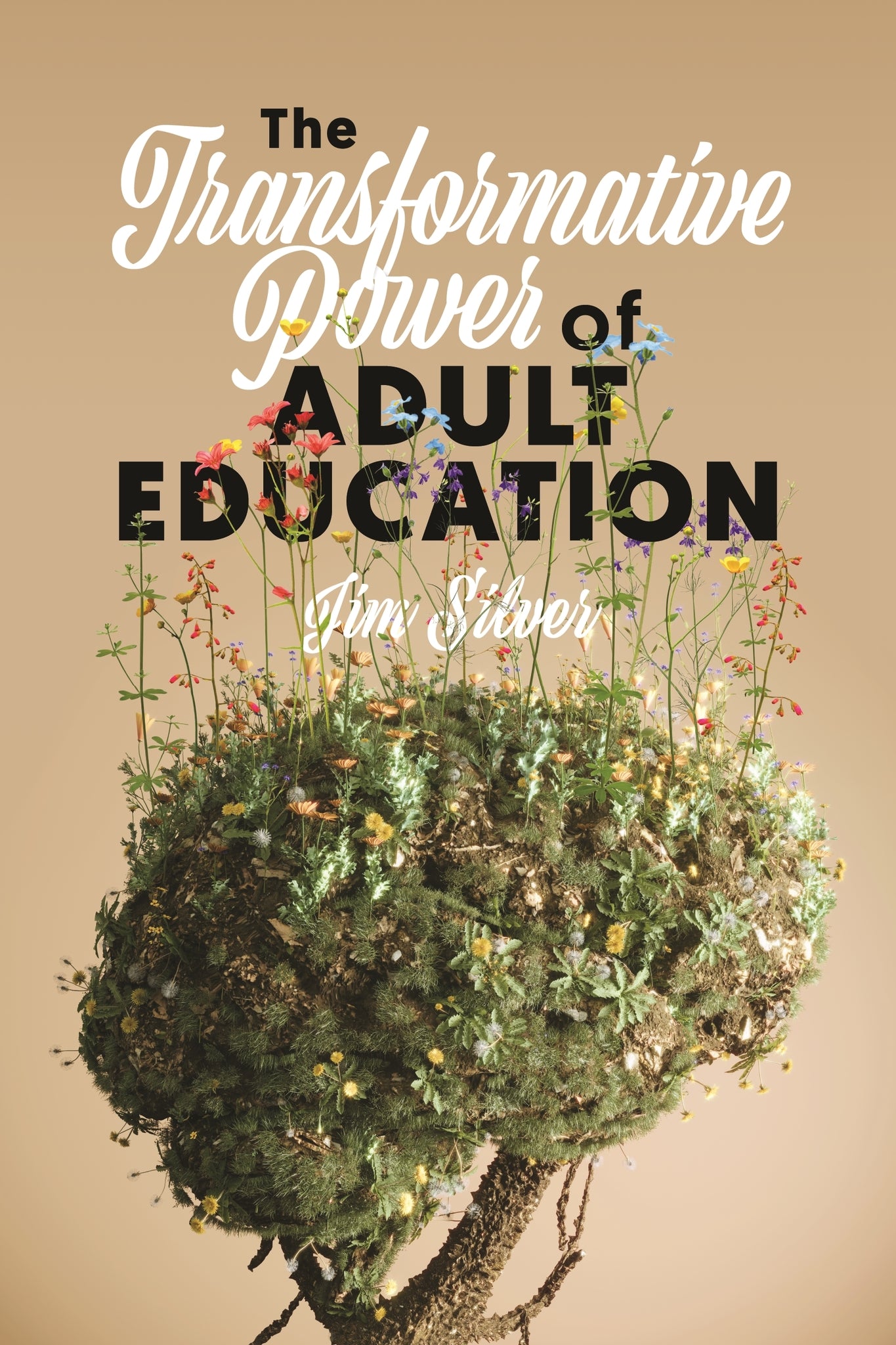 The Transformative Power of Adult Education