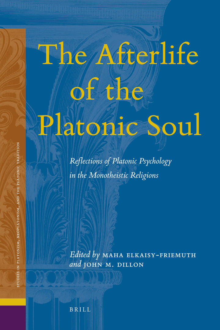 Cover image for The Afterlife of the Platonic Soul ISBN 9789004176232