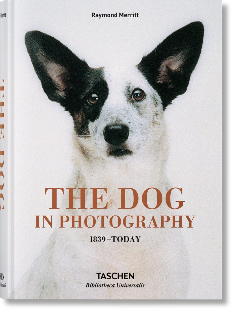 Cover image for The Dog in Photography 1839–Today ISBN 9783836567473