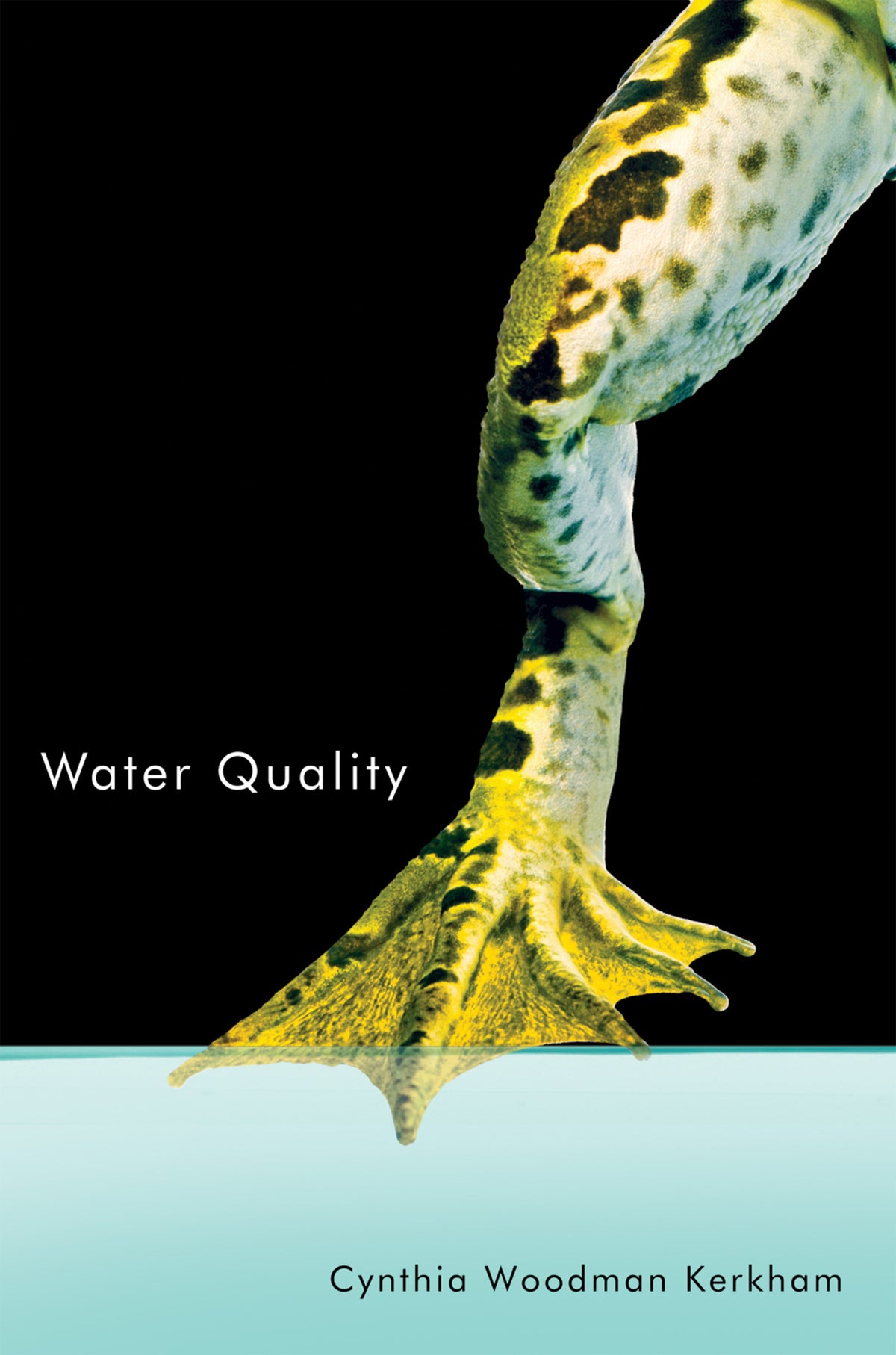 Cover image for Water Quality ISBN 9780228023456