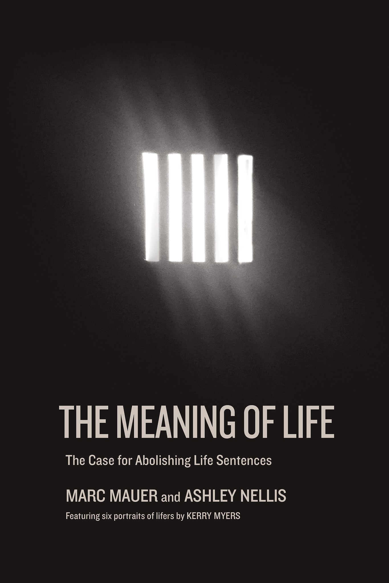 Cover image for The Meaning of Life ISBN 9781620974100