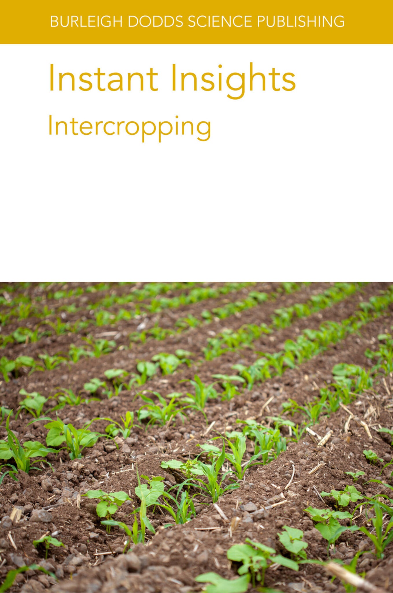 Cover image for Instant Insights: Intercropping ISBN 9781801464918