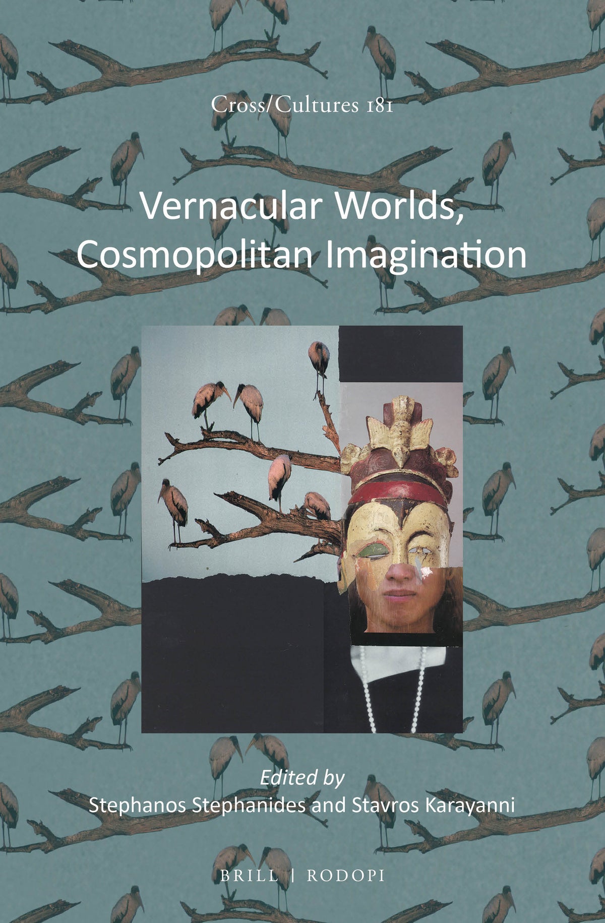 Cover image for Vernacular Worlds, Cosmopolitan Imagination ISBN 9789004300644