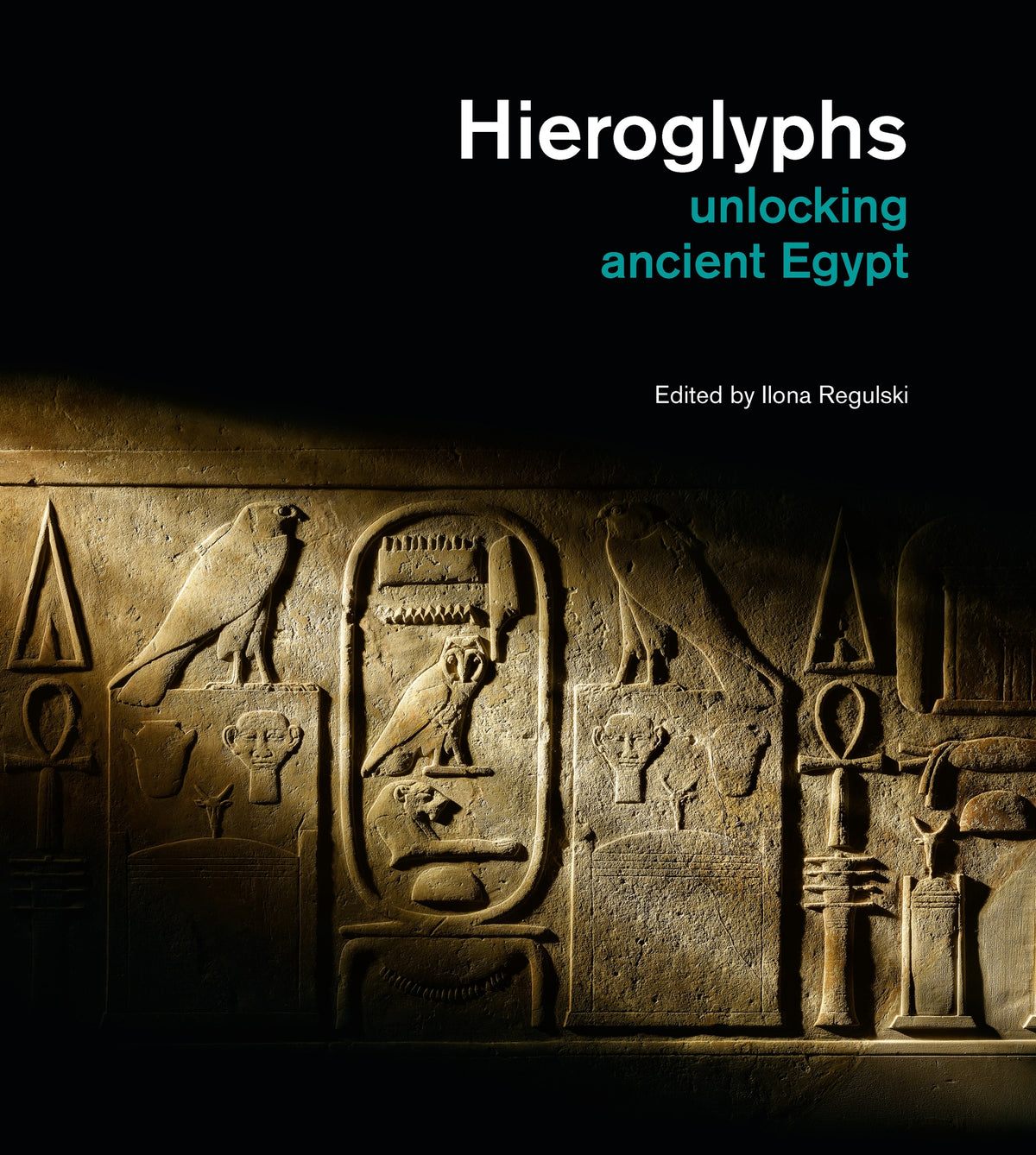 Cover image for Hieroglyphs ISBN 9781512825381
