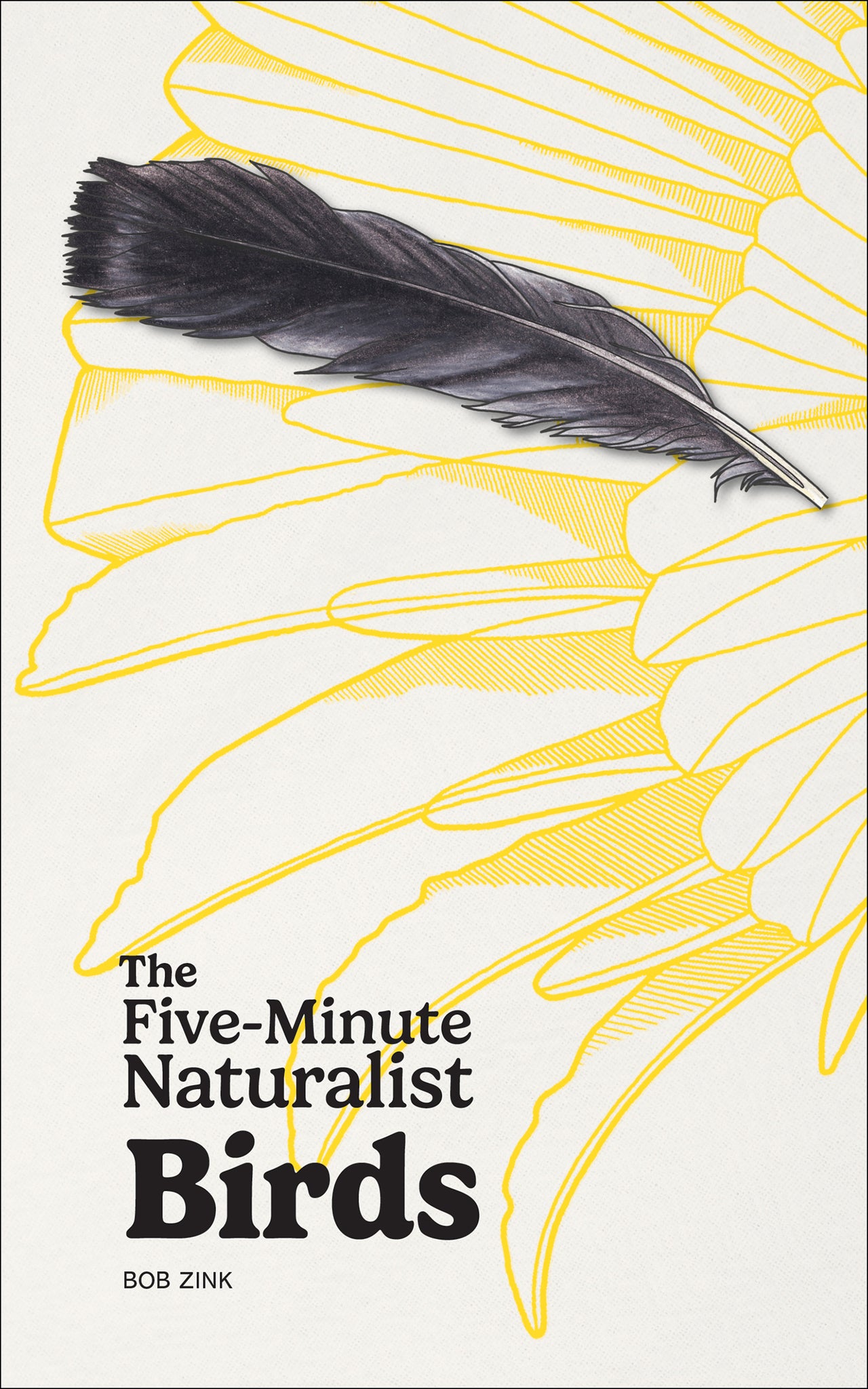 The Five-Minute Naturalist: Birds