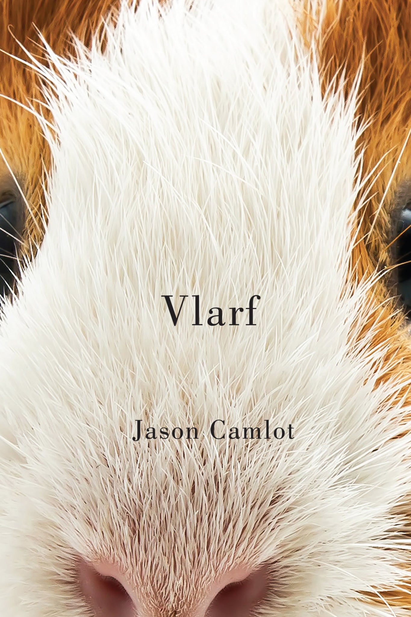 Cover image for Vlarf ISBN 9780228009290